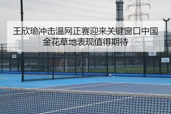 王欣瑜冲击温网正赛迎来关键窗口中国金花草地表现值得期待（NetEase CC）